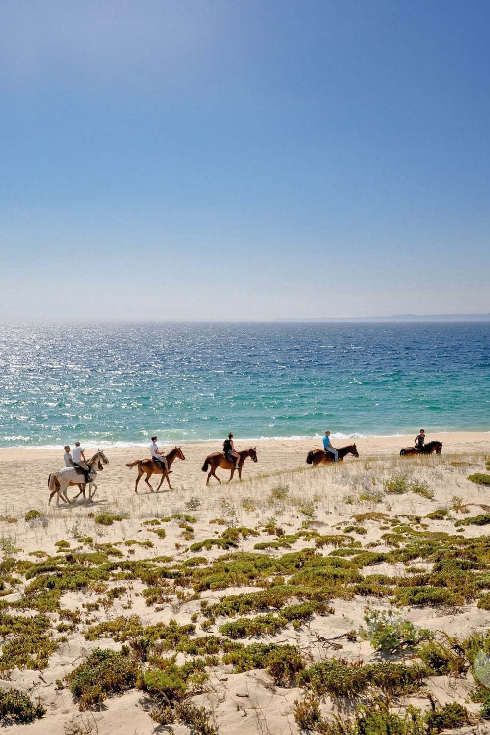 Riders on horseback along an empty Atlantic beach