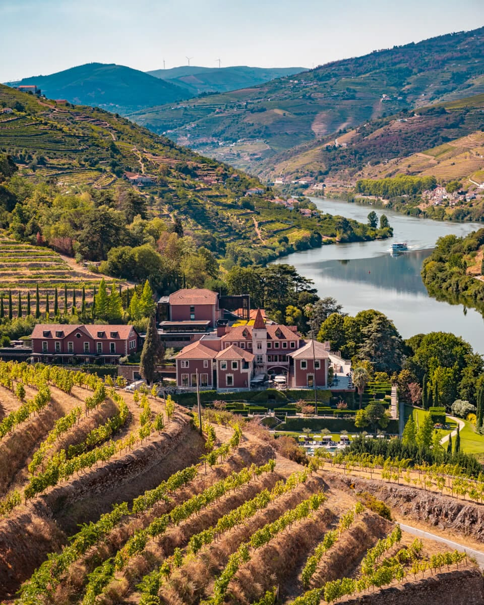 Terraced vineyards and a quinta above the Douro river