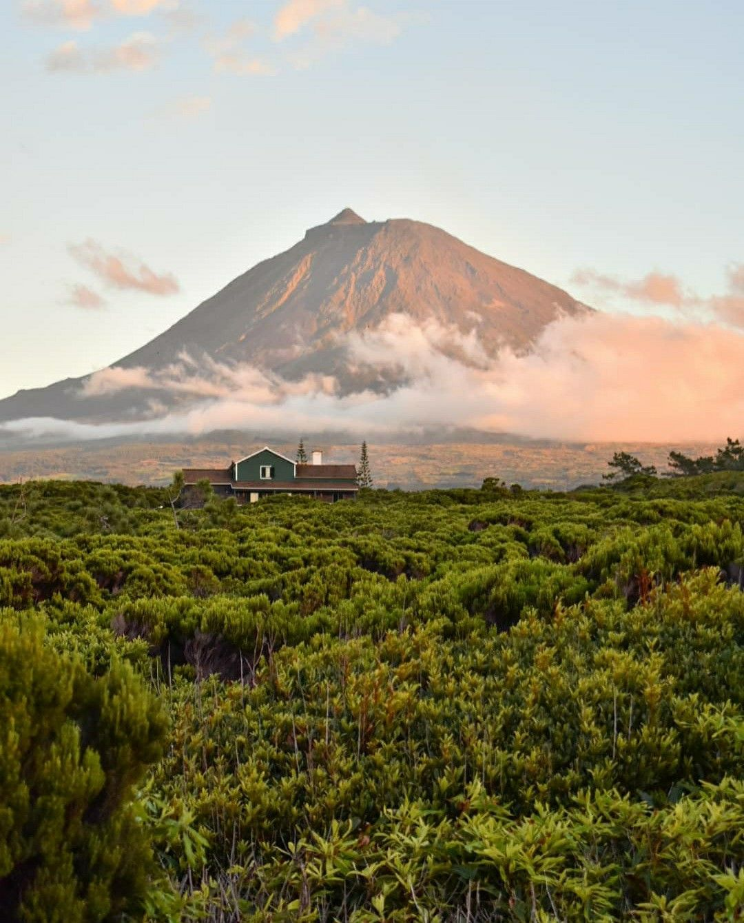 Mount Pico at sunset above a lone green house
